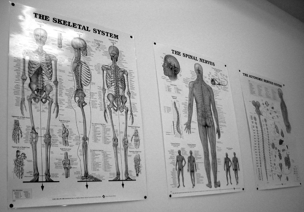 chiropractic